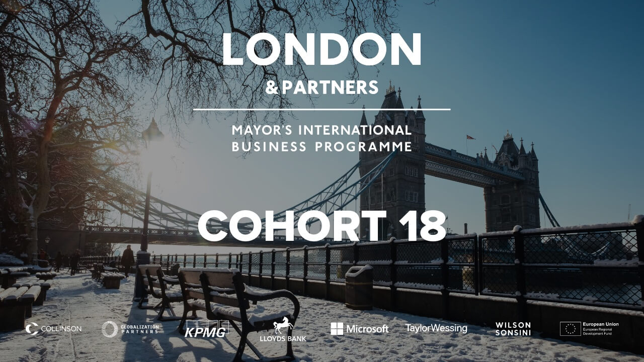 Mayors International Business Programme Participants and Partners